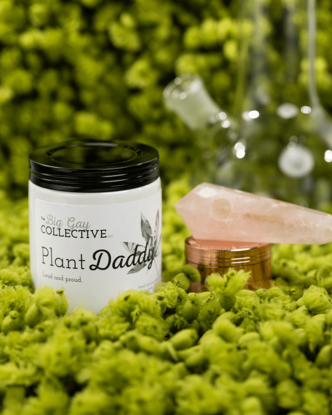 Plant Daddy