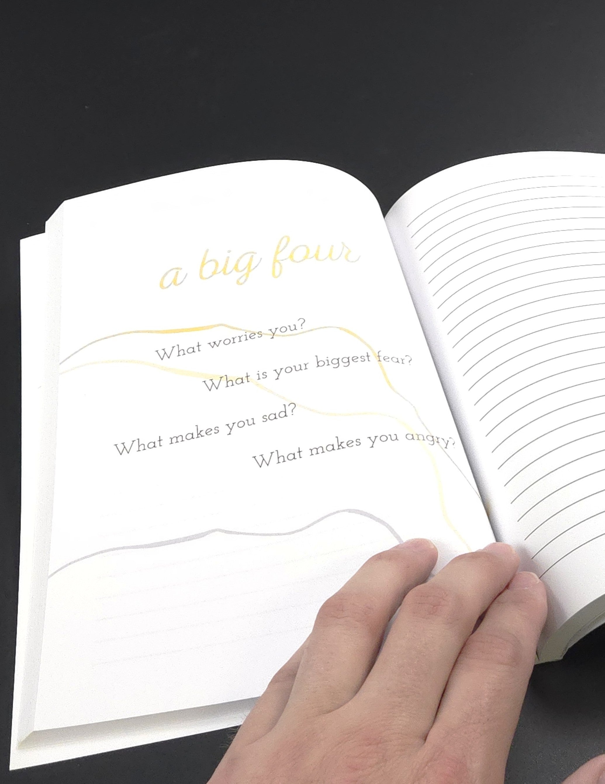 Journal